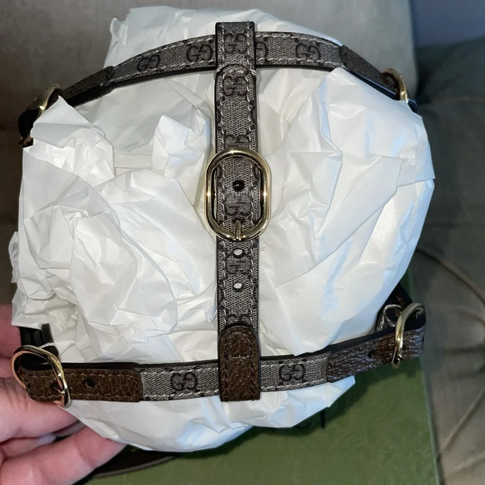 Nwot Gucci ex small pet harness